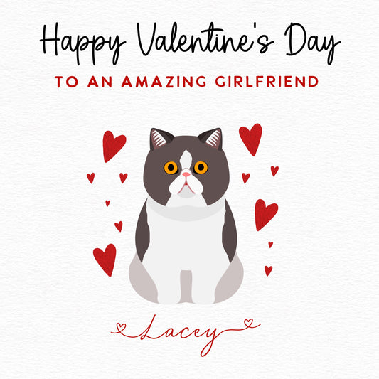Personalised Exotic Shorthair Cat Valentine’s Day Card
