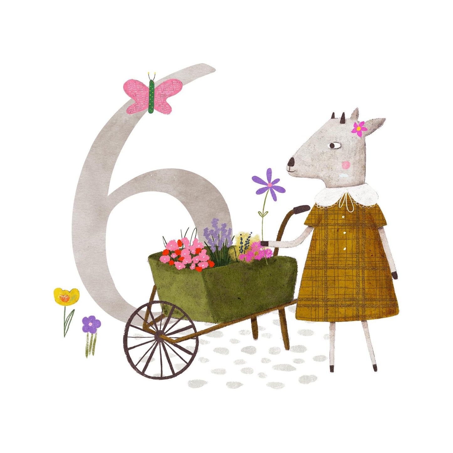 6th Birthday Greeting Card