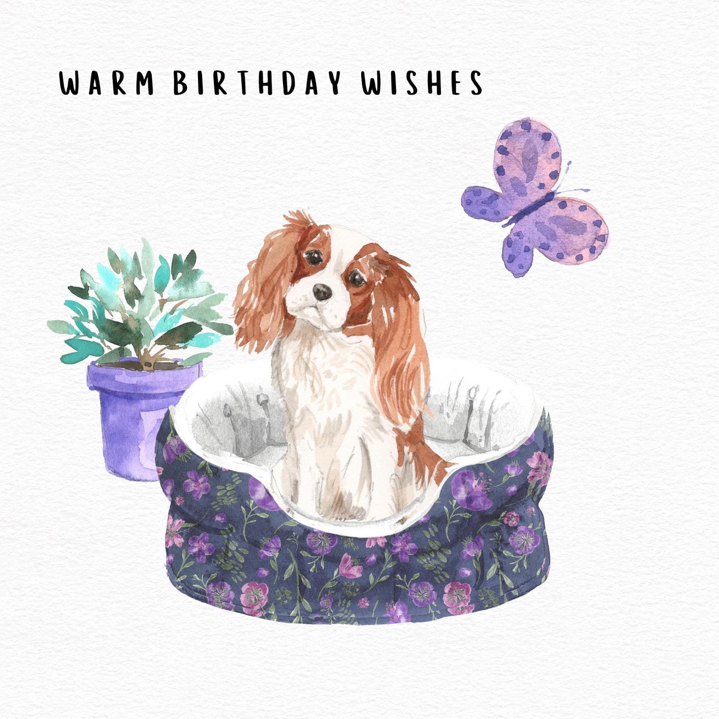 Cavalier King Charles Spaniel - Birthday Card