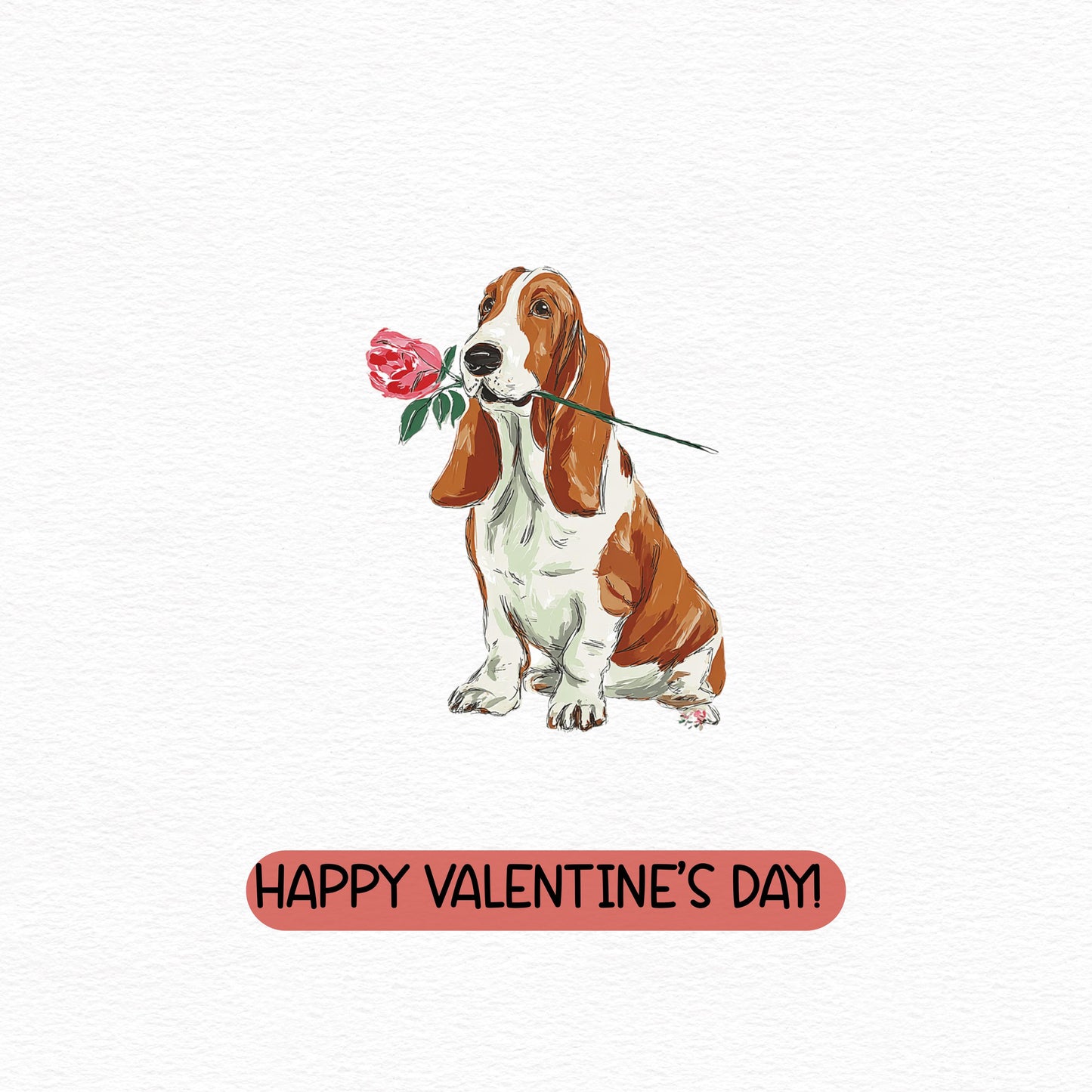 Basset Hound with Rose