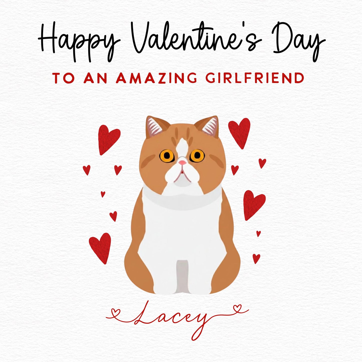Personalised Exotic Shorthair Cat Valentine’s Day Card