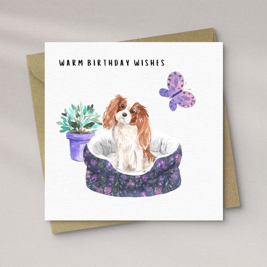 Cavalier King Charles Spaniel - Birthday Card